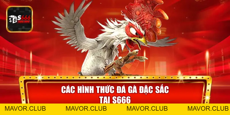 Đá Gà S666 – Sảnh Đá Gà Trực Tuyến Đỉnh Cao, Tỷ Lệ Kèo Hấp Dẫn - mavor.club