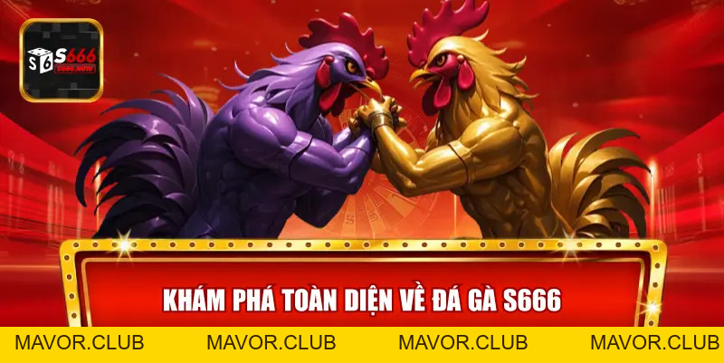 Đá Gà S666 – Sảnh Đá Gà Trực Tuyến Đỉnh Cao, Tỷ Lệ Kèo Hấp Dẫn - mavor.club
