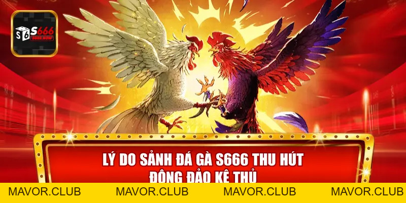 Đá Gà S666 – Sảnh Đá Gà Trực Tuyến Đỉnh Cao, Tỷ Lệ Kèo Hấp Dẫn - mavor.club