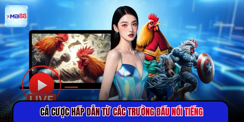 Đá Gà MB88 - Trận Đấu Gay Cấn Cập Nhật Liên Tục 24H - mavor.club