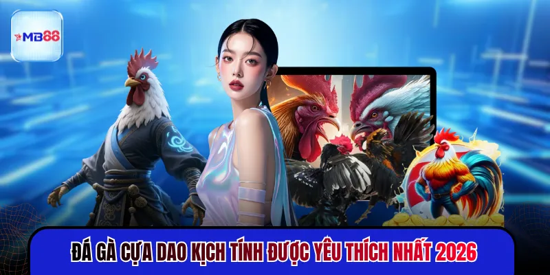 Đá Gà Cựa Dao - 3 Giây Quyết Định Kết Quả Trận Đấu - mavor.club