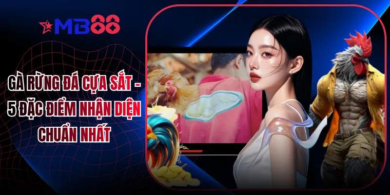 Gà Rừng Đá Cựa Sắt - 5 Đặc Điểm Nhận Diện Chuẩn Nhất - mavor.club