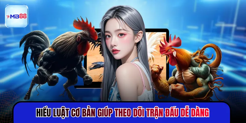 Đá Gà Thomo - Trận Đấu Nảy Lửa Thu Hút Nhất 2026 - mavor.club