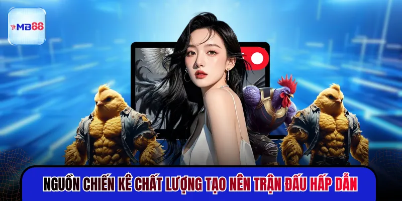 Đá Gà MB88 - Trận Đấu Gay Cấn Cập Nhật Liên Tục 24H - mavor.club