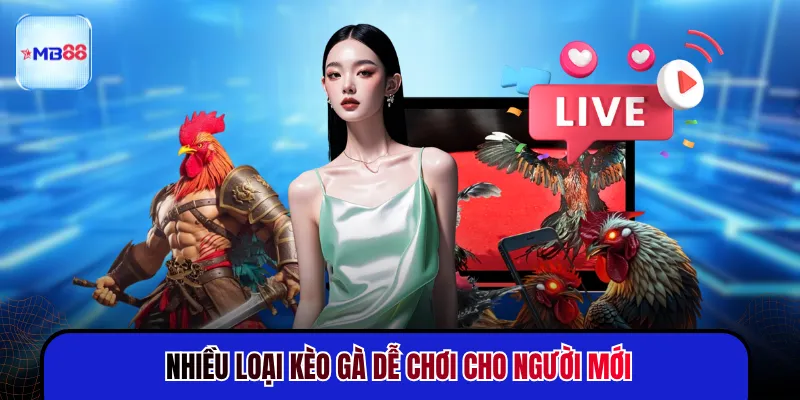 Đá Gà Cựa Dao - 3 Giây Quyết Định Kết Quả Trận Đấu - mavor.club
