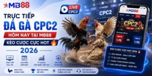 Đá Gà MB88 - Trận Đấu Gay Cấn Cập Nhật Liên Tục 24H - mavor.club