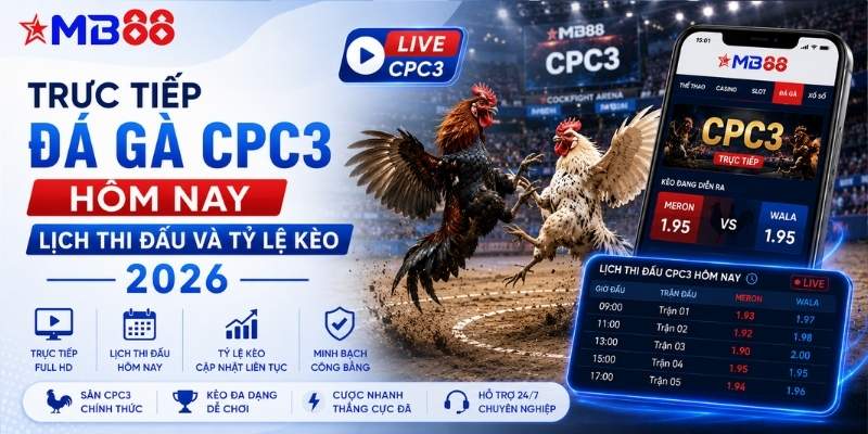 Trực tiếp đá gà CPC3 hôm nay: Lịch thi đấu và tỷ lệ kèo 2026 - mavor.club
