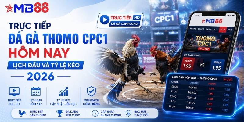 Trực tiếp đá gà Thomo CPC1 hôm nay: Lịch đấu và tỷ lệ kèo 2026 - mavor.club
