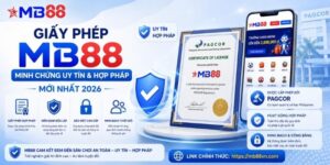 Tin tức - MB88 - mavor.club