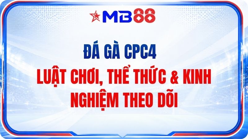 Đá Gà CPC4 – Luật Chơi, Thể Thức & Kinh Nghiệm Theo Dõi - mavor.club