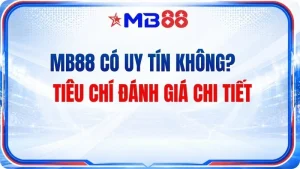 Tin tức - MB88 - mavor.club