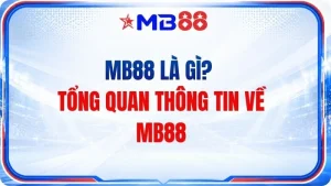 Tin tức - MB88 - mavor.club